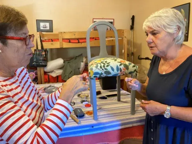 Récolte de légumes du jour